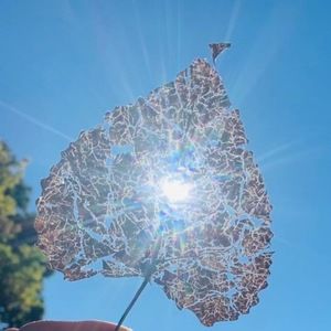 Meet your Posher, Saowalack